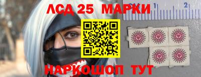 мдпв Кингисепп
