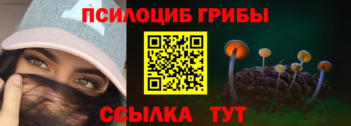 Галлюциногенные грибы MAGIC MUSHROOMS  Вход с VPN  Кызыл 